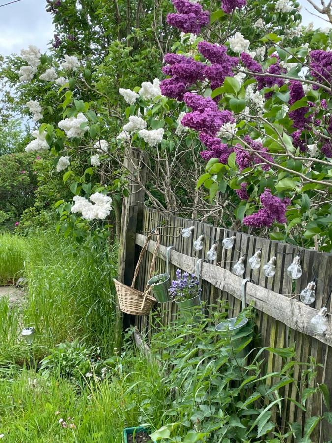 Wiejska Chatka ดาร์โวโว ภายนอก รูปภาพ